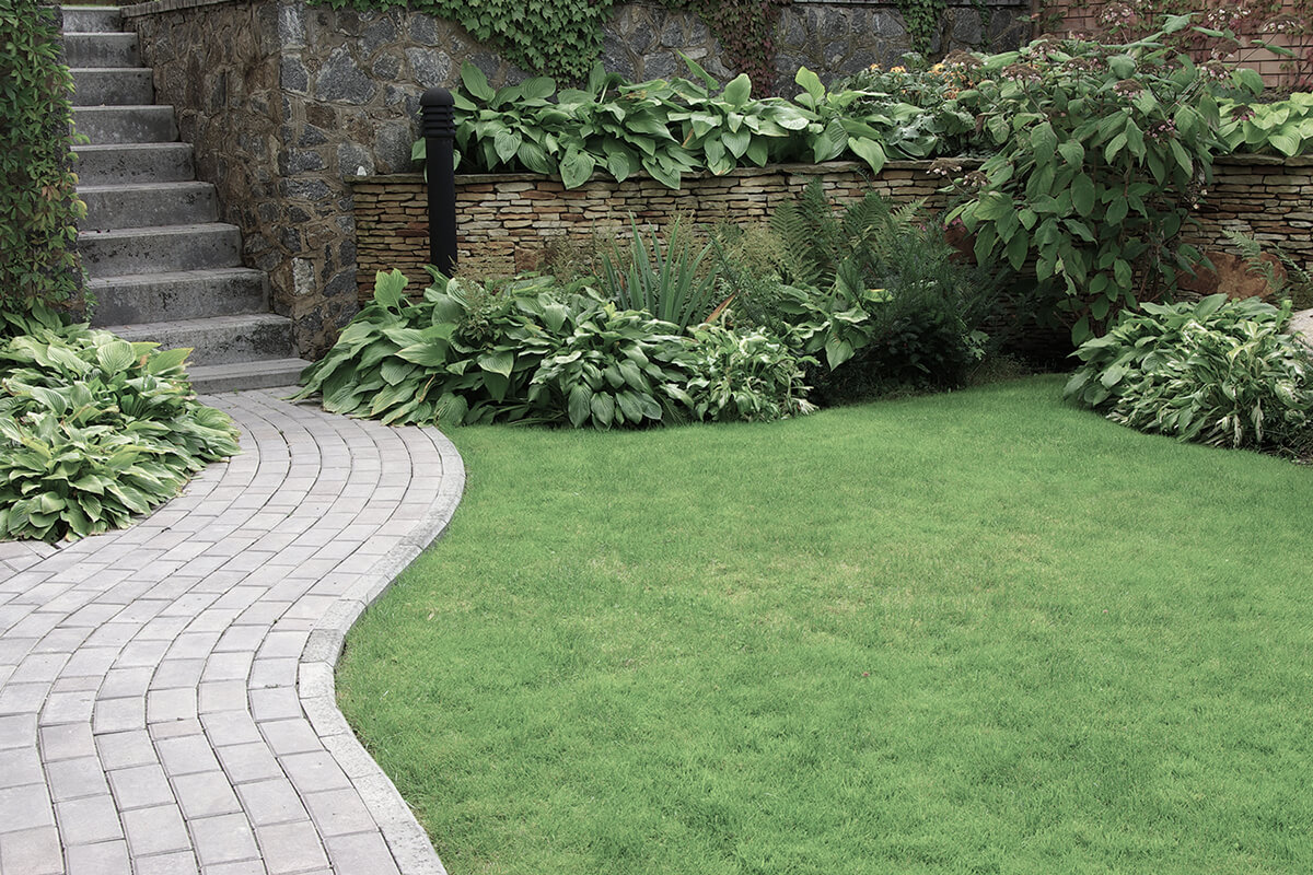 Welcome to Crown Landscaping